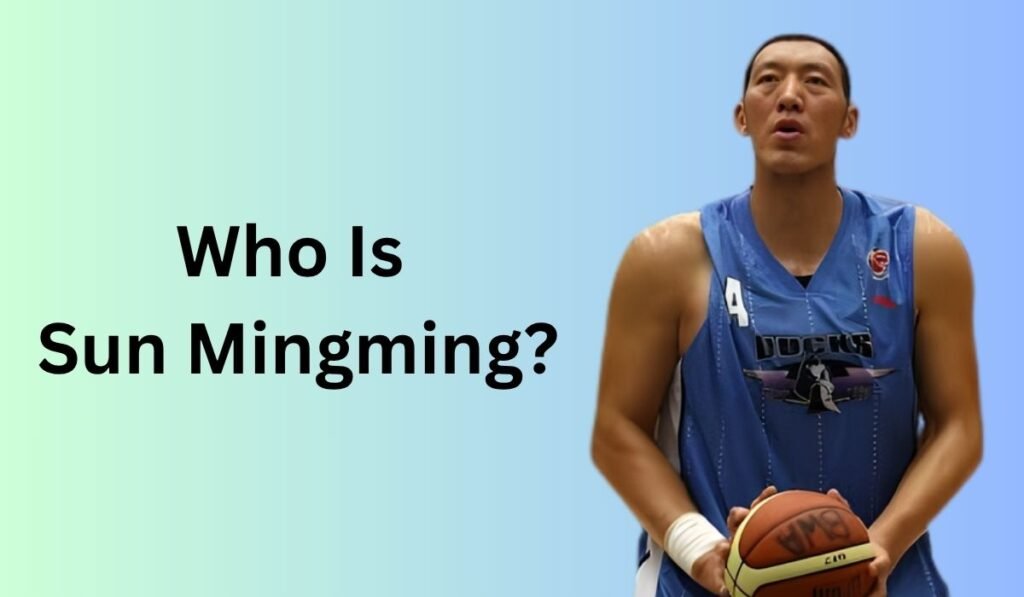 Who Is Sun Mingming?