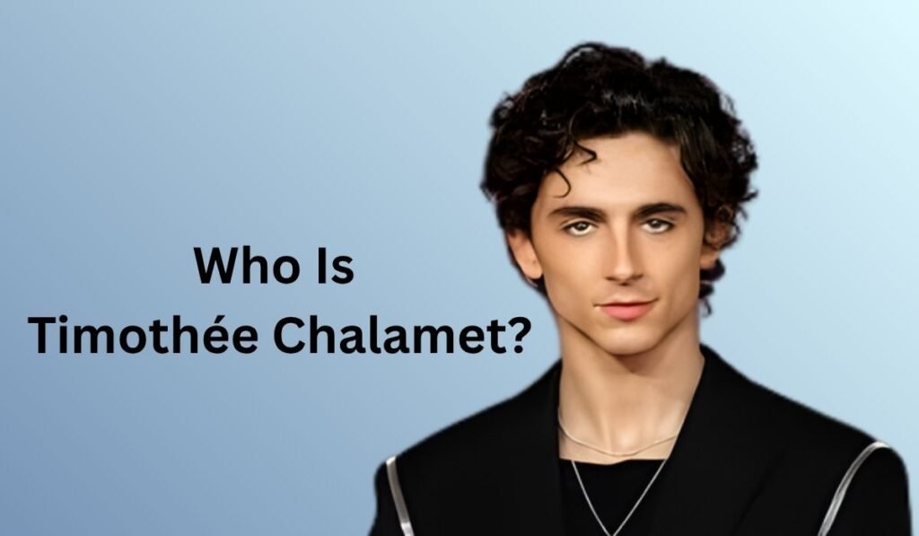 Who Is Timothée Chalamet ? 