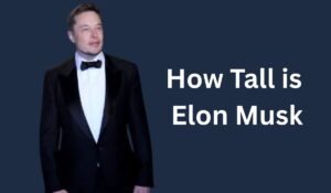 Elon Musk Height: How Tall is the Billionaire Entrepreneur?