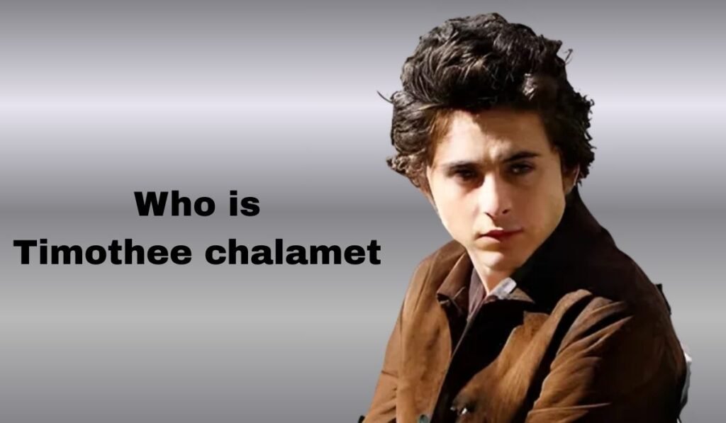 Who Is Timothée Chalamet
