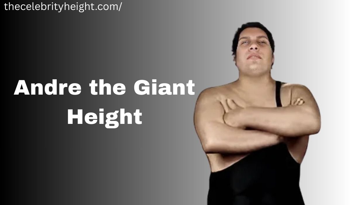 Andre the Giant Height